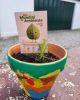 Dia Mundial do Ambiente | Centro Social e Paroquial de Vila de Punhe