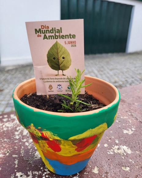 Dia Mundial do Ambiente | Centro Social e Paroquial de Vila de Punhe