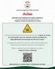 Aviso | Registro de ninhos de vespa Asiatica