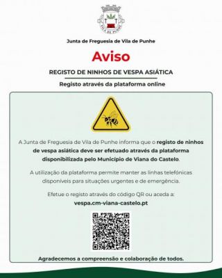 Aviso | Registro de ninhos de vespa Asiatica