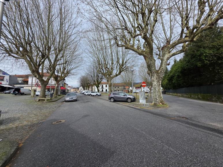 Aviso | Poda de Arvores no Largo das Neves